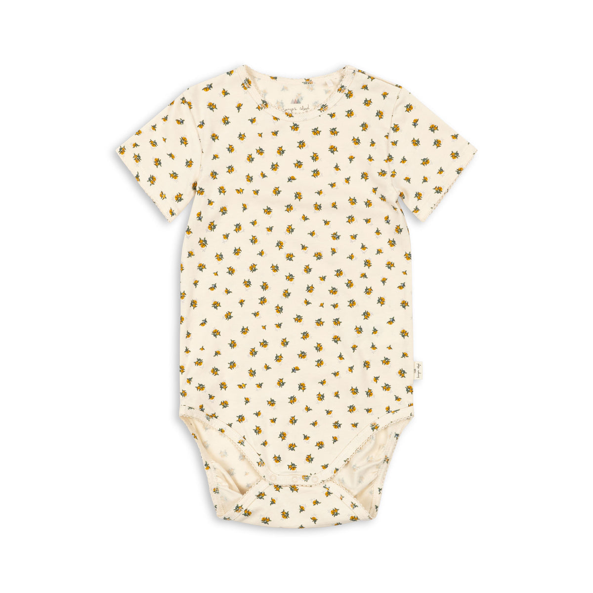 りすこさま　３本 DECOLE デコレ コンコンブル どろぼう猫 おむすび 2023 新米祭り