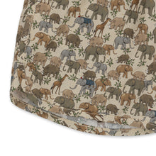 画像をギャラリービューアに読み込む, ASNOU SWIMSHORTS / コンゲススロイド スイムパンツ 男の子水着 海パン キッズ