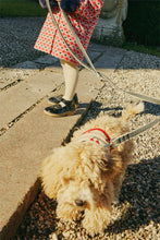 画像をギャラリービューアに読み込む, CHERRY KNIT DOG VEST CHERRY / コンゲススロイド ドッグベスト 犬 ワンちゃんニットベスト チェリー