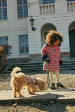 画像をギャラリービューアに読み込む, CHERRY KNIT DOG VEST CHERRY / コンゲススロイド ドッグベスト 犬 ワンちゃんニットベスト チェリー