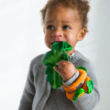 画像をギャラリービューアに読み込む, KENDALL THE KALE / ケール ベビートイ