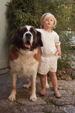 画像をギャラリービューアに読み込む, WAVY SHORTS GOTS / コンゲススロイド ショートパンツ サーマル キッズ ベビー 半ズボン