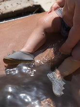 画像をギャラリービューアに読み込む, Aster swim pants 23SS / コンゲススロイド スイムパンツ 水着 ベビーキッズ くじら 恐竜