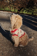 CHERRY KNIT DOG VEST CHERRY / コンゲススロイド ドッグベスト 犬 ワンちゃんニットベスト チェリー