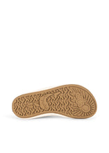 画像をギャラリービューアに読み込む, ASTER SWIM SHOES / コンゲススロイド スイムシューズ マリンシューズ スイムウエア キッズ KS105268
