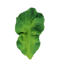 画像をギャラリービューアに読み込む, KENDALL THE KALE / ケール ベビートイ
