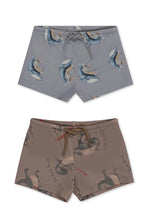 画像をギャラリービューアに読み込む, Aster swim pants 23SS / コンゲススロイド スイムパンツ 水着 ベビーキッズ くじら 恐竜
